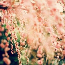 Схема вышивки «№346128»