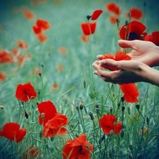 Схема вышивки «№346131»