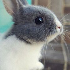 Схема вышивки «№346140»