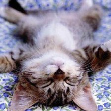 Схема вышивки «№346143»