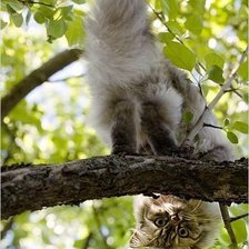 Схема вышивки «№346147»