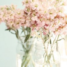 Схема вышивки «№346163»