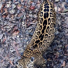 Схема вышивки «№346164»