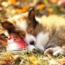 Схема вышивки «№346170»