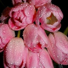 Схема вышивки «№346181»