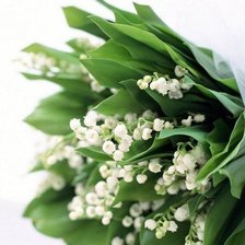 Схема вышивки «№346208»