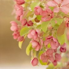 Схема вышивки «№346213»