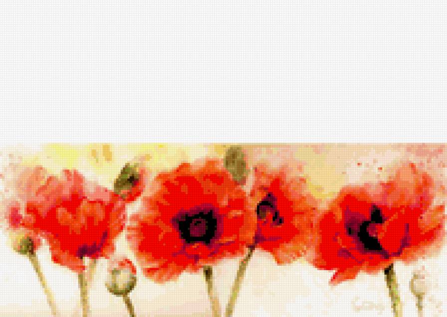 акварель - маки - предпросмотр