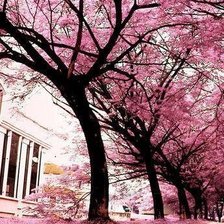 Схема вышивки «№346298»