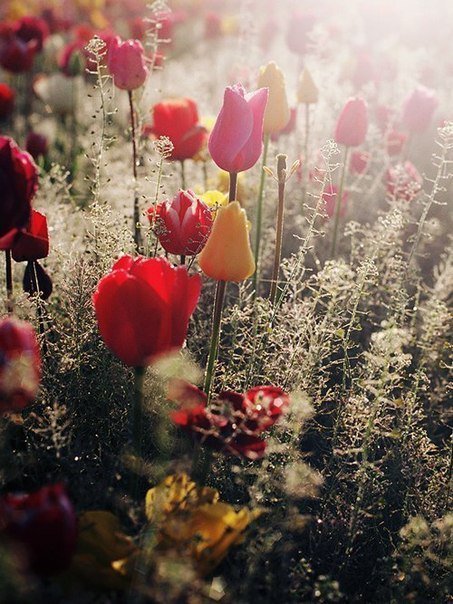 №346300 - оригинал