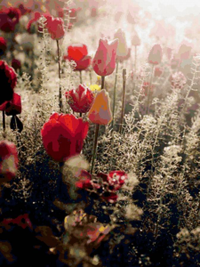 №346300 - предпросмотр