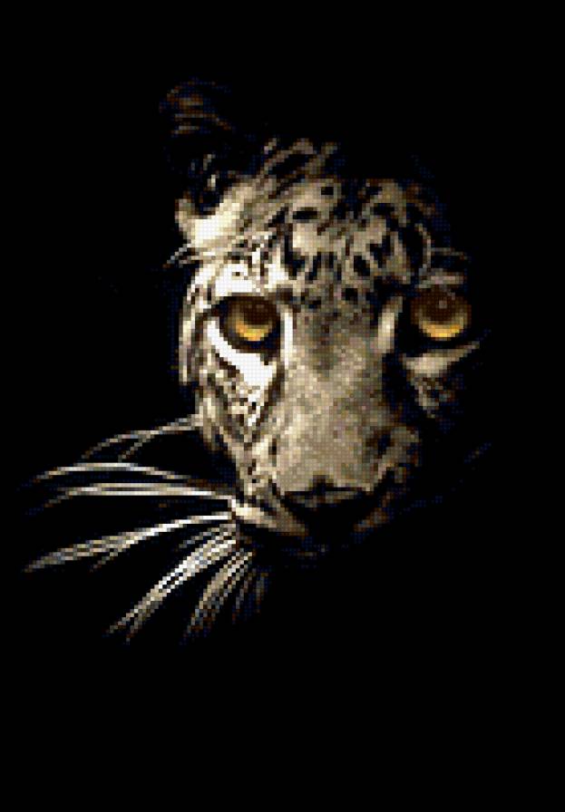 Лео - предпросмотр