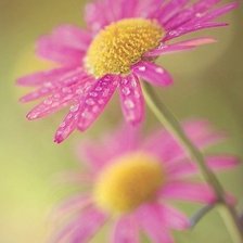 Схема вышивки «№346310»