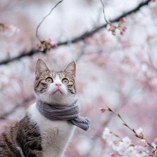 Схема вышивки «№346317»