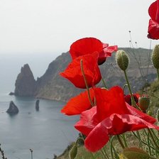 Схема вышивки «№346323»