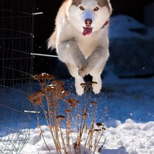 Схема вышивки «№346336»