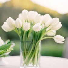 Схема вышивки «№346340»