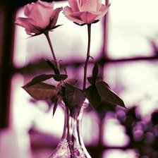 Схема вышивки «№346347»