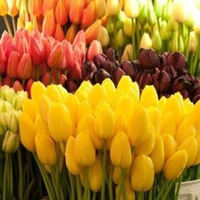 Схема вышивки «№346352»