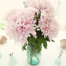 Схема вышивки «№346355»