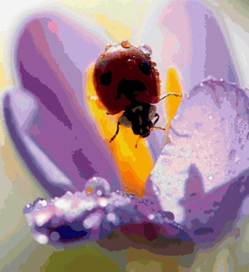 №346359 - предпросмотр