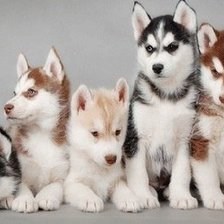 Схема вышивки «№346360»