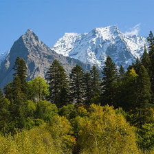Схема вышивки «пейзаж»