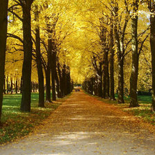 Схема вышивки «Барнаул»