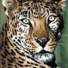 Схема вышивки «№346567»