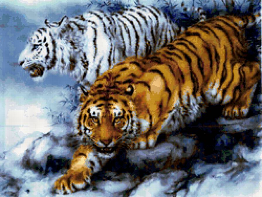 тигры - животные, тигр - предпросмотр