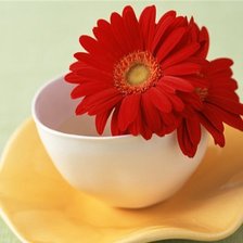 Схема вышивки «%%%»