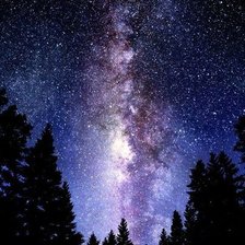 Схема вышивки «звёзды над лесом»