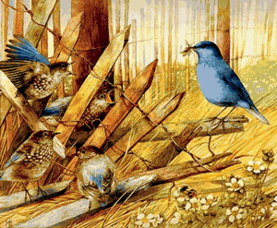 птичье семейство - рисунок, птицы, природа, насекомые, еда - предпросмотр