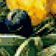Предпросмотр схемы вышивки «натюрморт» (№346829)