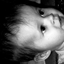 Схема вышивки «polya»