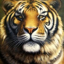 Схема вышивки «№346920»