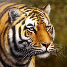 Схема вышивки «№346921»