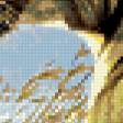 Предпросмотр схемы вышивки «№346930»