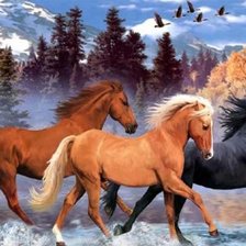 Схема вышивки «лошади»