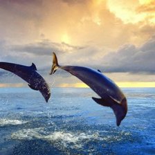 Схема вышивки «дельфины»