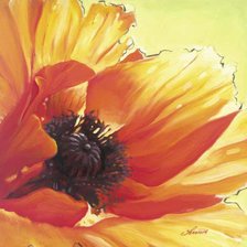 Схема вышивки «мак 36»