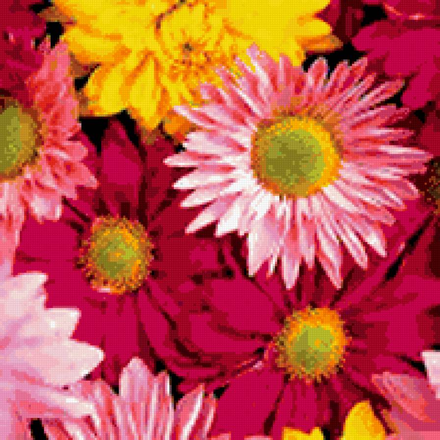 Гербер - цветы - предпросмотр