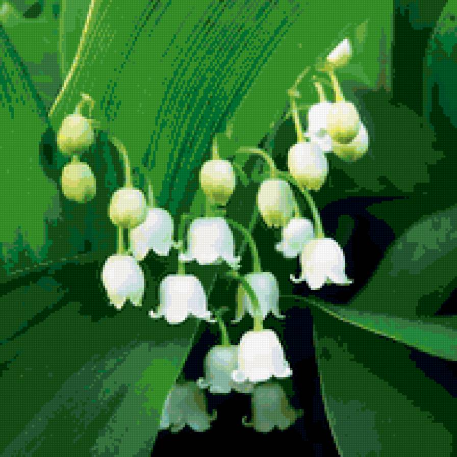 Ландыш - цветы - предпросмотр