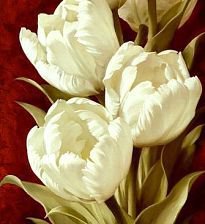 Схема вышивки «тюлюпаны»