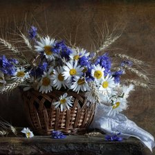 Схема вышивки «№347196»