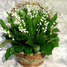 Схема вышивки «№347347»