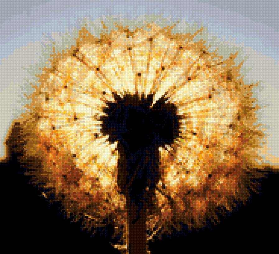 Одуванчик - закат, одуванчик - предпросмотр