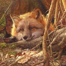 Схема вышивки «Лесная красавица»