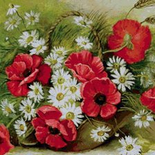 Схема вышивки «маки»