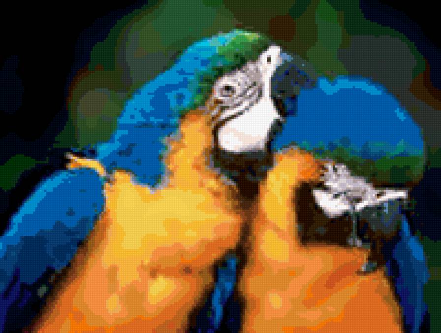 попугайчики - животные - предпросмотр